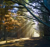 a photo of sunlight
