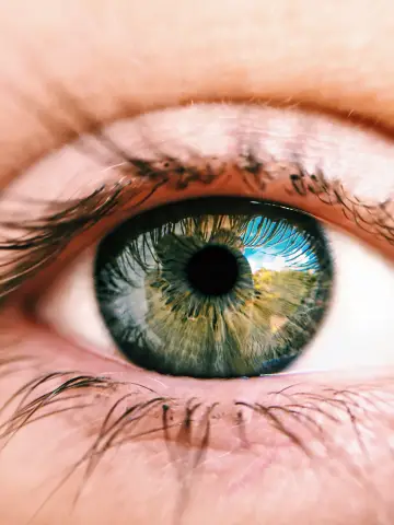 an image of an eye seeing the world